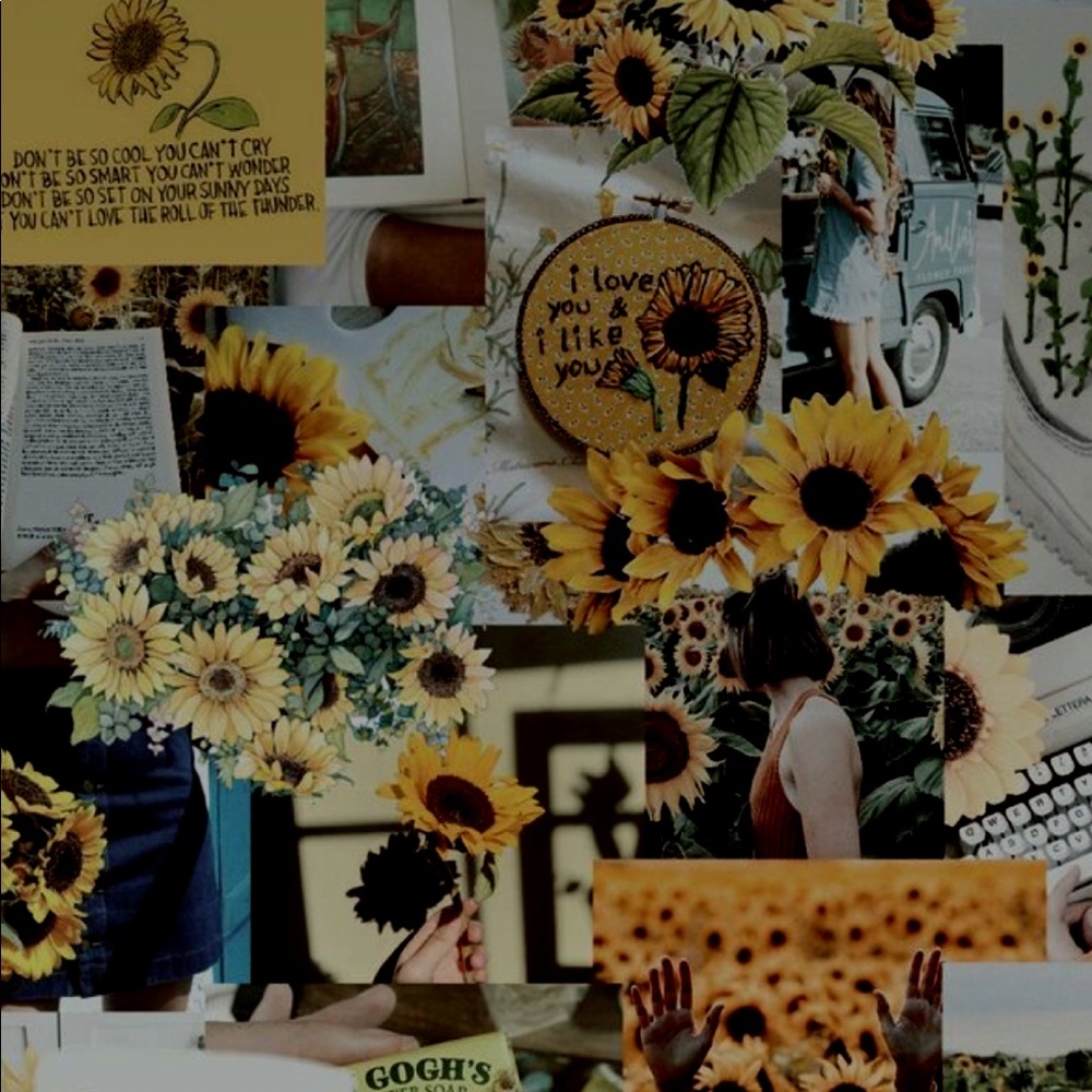 Meet your Posher, Isaisabella